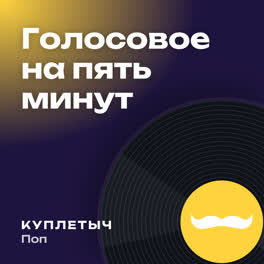 Обложка песни «Голосовое на пять минут»